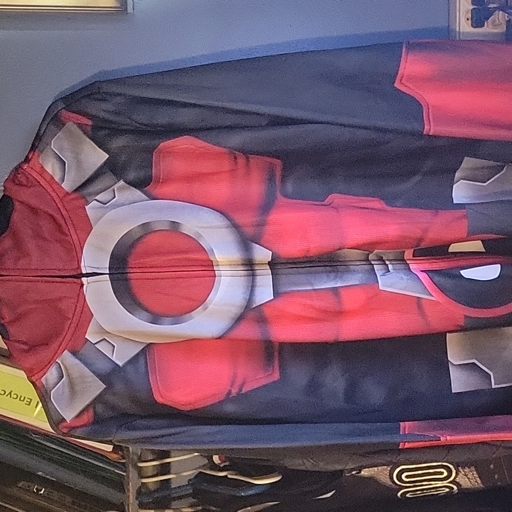 Men's hoodie